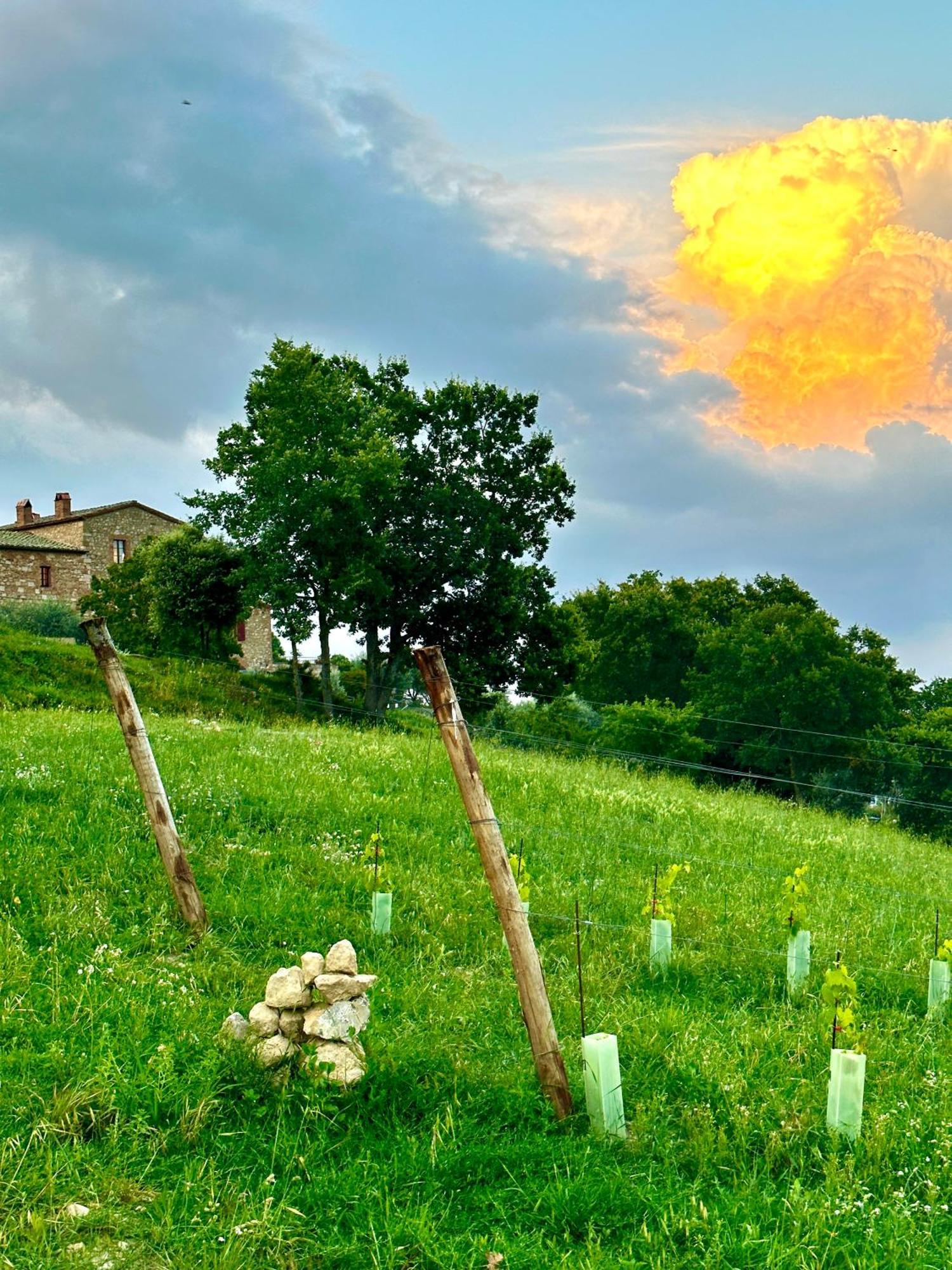 Hotel Lachiusa Tuscany Montefollonico Exterior foto